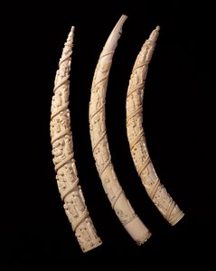 Carved Tusks, Congo